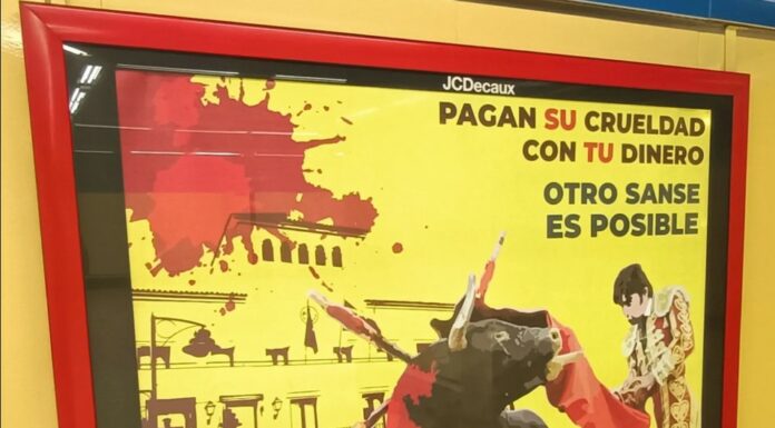 «Animalistas Sanse» lanza su campaña contra los festejos taurinos de Sanse