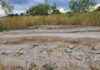 El PSOE  de Sanse denuncia el deterioro de la vía pecuaria de Viñuelas