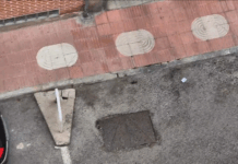 Vecinos denuncian la presencia de ratas en el centro de San Sebastián de los Reyes