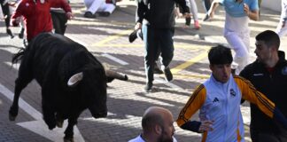 San Sebastián de los Reyes celebrará sus Encierros Blancos el fin de semana del 17 y 18 de enero