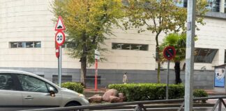 Vecinos de Sanse estallan por los nuevos badenes de la Avenida Baunatal «revienta-coches»