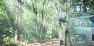 Sanse acoge el Foro Logístico del Automóvil el 13 de noviembre con líderes del sector