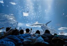Los vecinos de Sanse podrán visitar Atlantis Aquarium con una tarifa especial