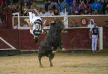 La Tercera acogerá el primer concurso infantil de recortadores de San Sebastián de los Reyes