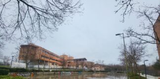 El PSOE propone que los vecinos de Los Arroyos decidan en una consulta el futuro de sus pistas deportivas