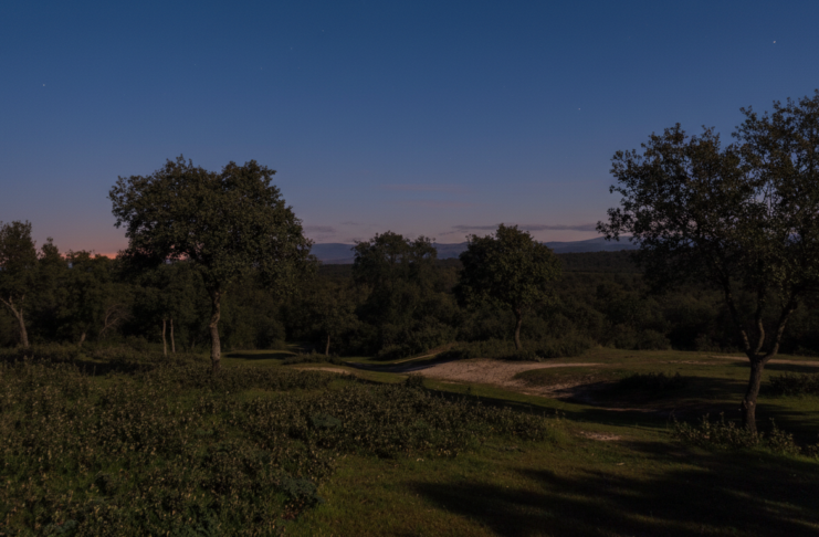 Analizar huesos y pelos para descubrir qué cenan las rapaces: el plan más curioso de Sanse para este domingo