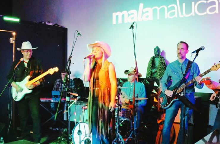 El country-rock de Moonshine Riders llega al Mercado Agroalimentario de Sanse en marzo