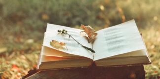 Sanse busca a los mejores poetas: se abren los premios ‘José Hierro’ y ‘Grande Aguirre’ con 14.000 euros en juego