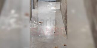 La oposición de Sanse tilda de «vergüenza» la gestión del Plan VIVE tras la inundación de aguas fecales