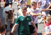 Sanse llevará bueyes a La Marina para una trashumancia infantil el 2 de mayo