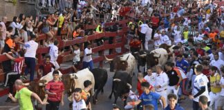 San Sebastián de los Reyes ya tiene fechas para los ocho encierros de sus fiestas de 2026