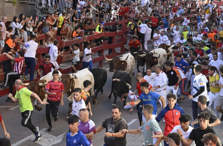 San Sebastián de los Reyes ya tiene fechas para los ocho encierros de sus fiestas de 2026