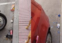 Vecinos de Sanse denuncian una limpieza «de dos velocidades» según el barrio donde se viva